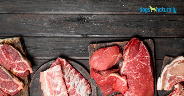 best raw meat for dogs