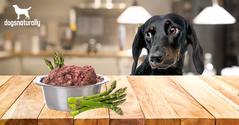 can dogs eat asparagus