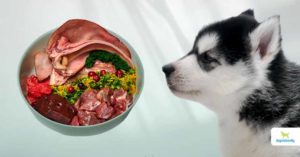 Raw food for behavior