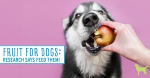 fruits for dogs
