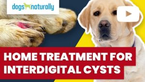 treatment for interdigital cysts